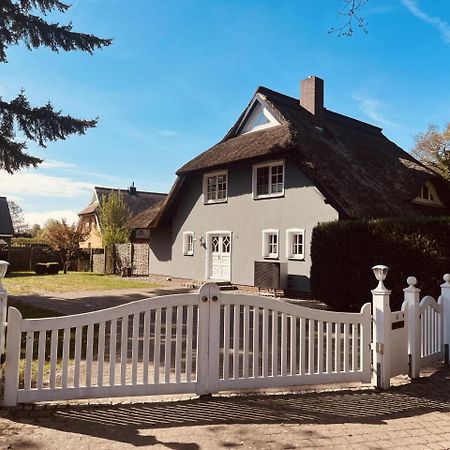 Ferienwohnung Lasse In Wieck Exteriér fotografie