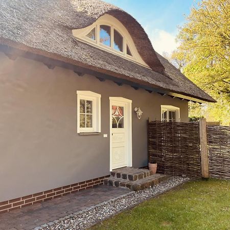 Ferienwohnung Lasse In Wieck Exteriér fotografie
